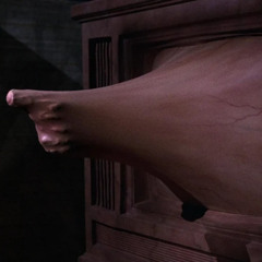 LONG LIVE THE NEW FLESH - Videodrome Book 1