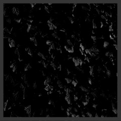 ZNDR002