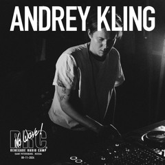 Renegade Radio Camp - ANDREY KLING (No Wave!) - Mix 08-11-2024