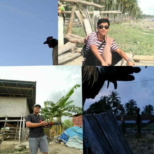 NEW MIXTAPE 2K21 [ AYAM DULU BARU KMU🤪 ]#miminJRxNdr.Podda