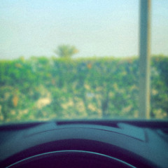 نوى المرواح مصحوب السلامة