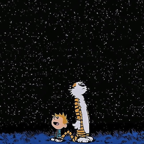 CATCH A VIBE (prod.orchid2k)