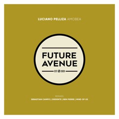 Luciano Pelliza - Amobea (Sebastian Campo Remix) [Future Avenue]