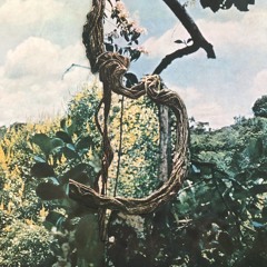 Celer + Forest Management - Indistinguishable from magic + A big and a strange place (Remastered)