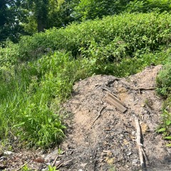 v.rxyyy - insoul prod egress1