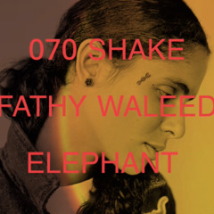 ELEPHANT.Ft.070 SHAKE