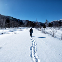 雪原/snow field 【free music】