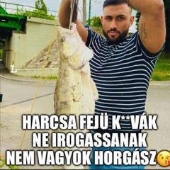 kicsibee😘