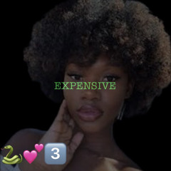 Expensive [ DrazDid911 ]