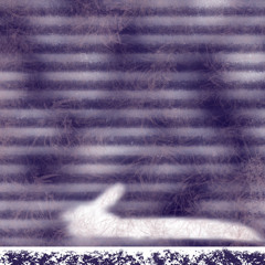 TR!BVL_prod.baeo.wav