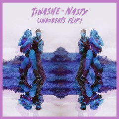 Tinashe - Nasty (Indobeats Flip)
