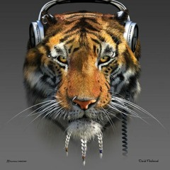 Closing Set for Wax Motif @ Schimanski