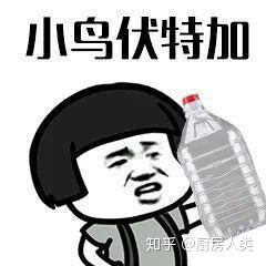 小鸟伏特加 雷霆嘎巴 无情哈了哨 DJ