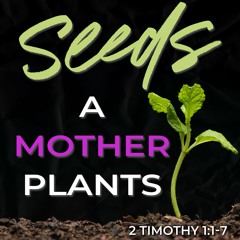 Hans-Georg Hoprich: Seeds a Mother Plants (2 Timothy 1:1-7)