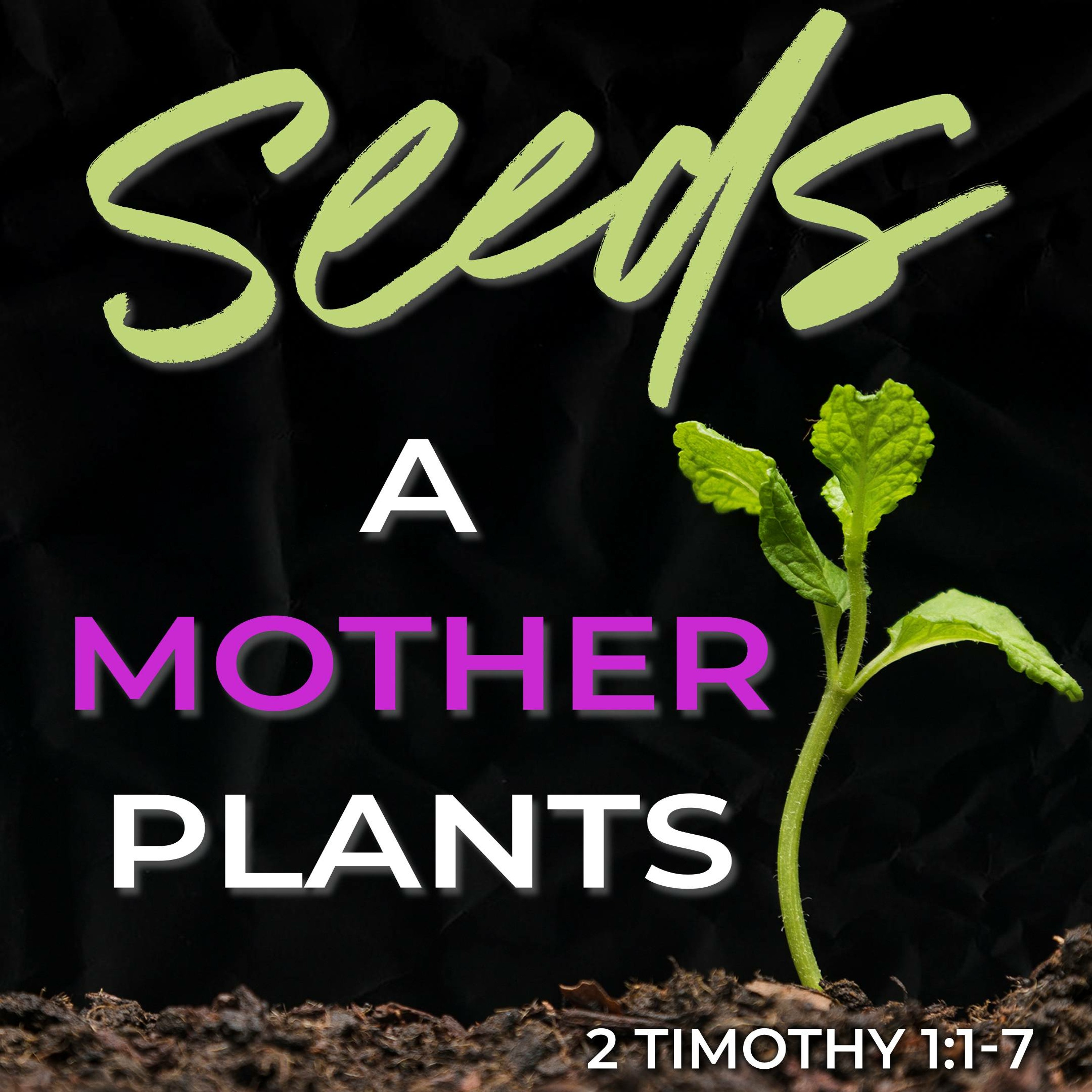 Hans-Georg Hoprich: Seeds a Mother Plants (2 Timothy 1:1-7) episode artwork