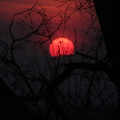 Blood sun lullaby