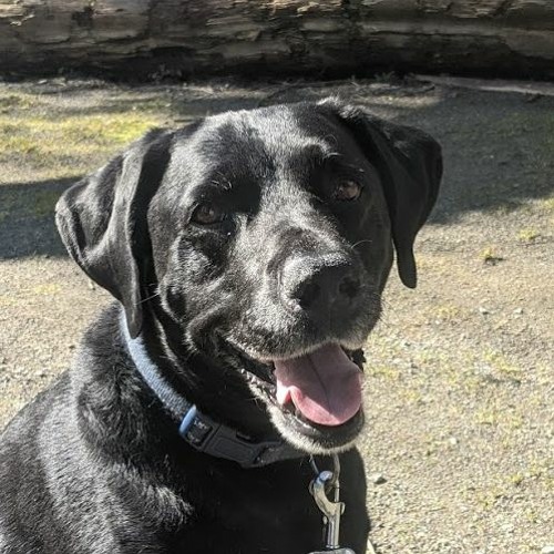 A Party (In My Head)