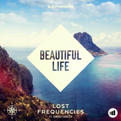 Beautiful Life (feat. Sandro Cavazza)