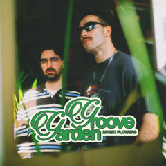 GREEN DISCO