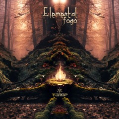 Elemental Fogo - Void Conspiracy @Forest/DarkPsy