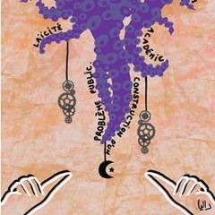 Épisode 7 - Valérie Amiraux - La laïcité comme agrégateur de connivences