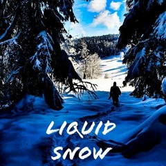 DUDIMAN'S DNB SESSION - #2 Liquid Snow