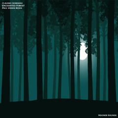 Enchanted Forest (Paul Visser Remix)