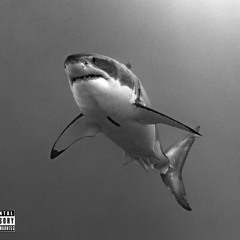 VONEY VONE (Vee Baabiee) -Try That