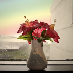 soundflower