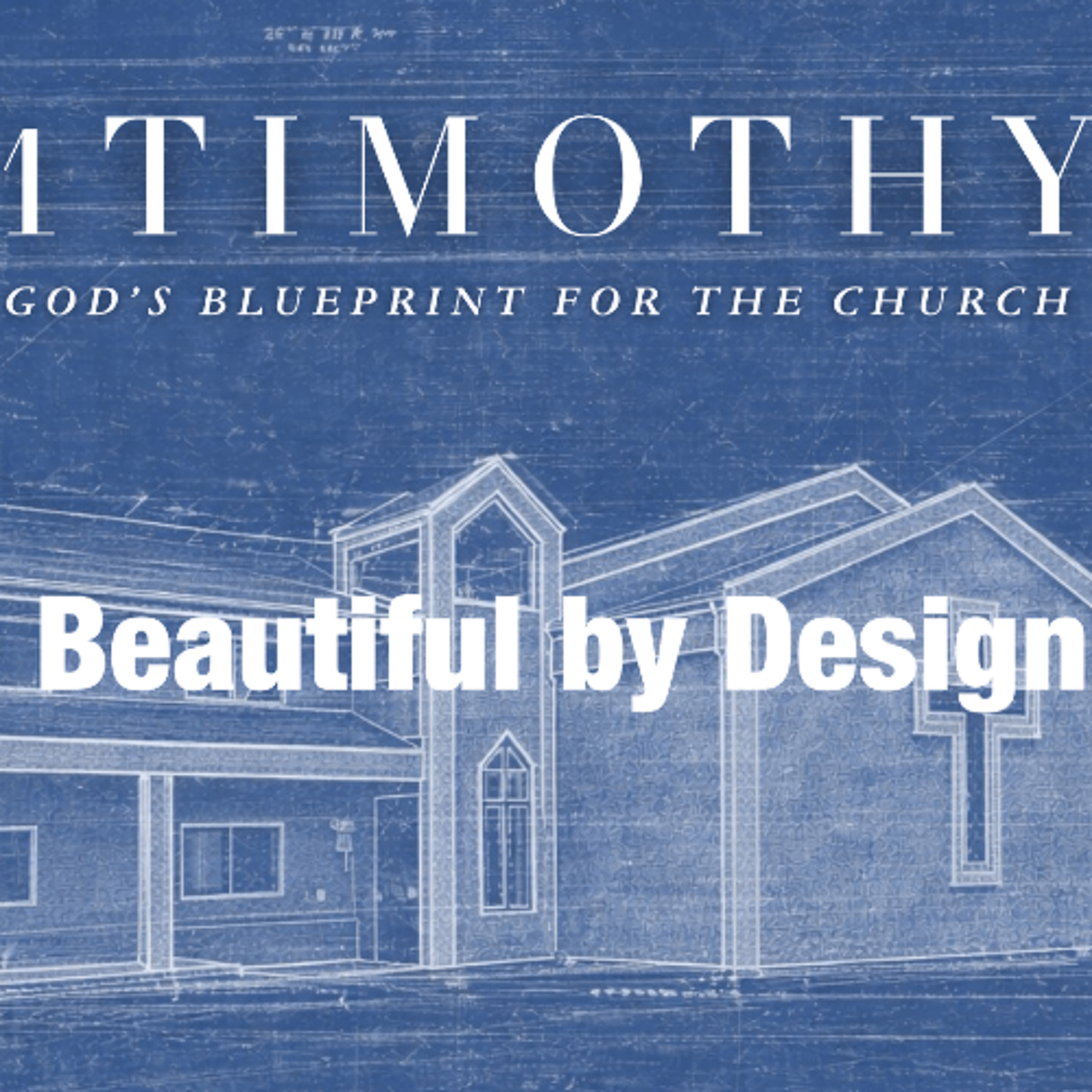 May 24/26 | 1 Tim 2:11-15 | Beautiful by Design | Meldon Lutzer episode artwork