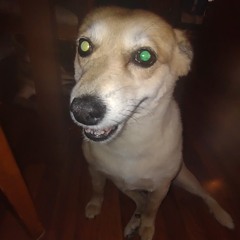 Fight u  Freestyle prod Buffalo chicken