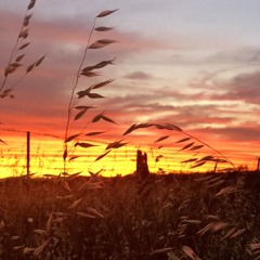 country