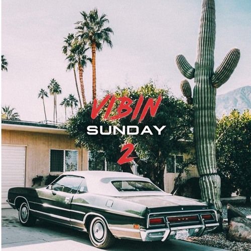 VIBIN SUNDAY 2