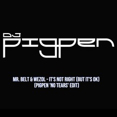 Mr. Belt & Wezol - It's Not Right (But It's Ok) (Pigpen 'No Tears' Edit)