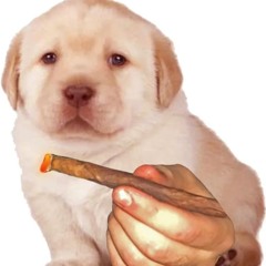 SMOKE THIS FUCKING JUNT