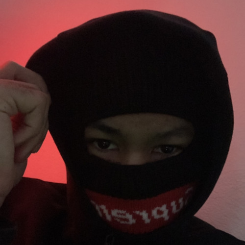 Helmut Lang ( ziplocker + forbidden )