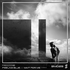 freezidnb - Feeling Blue [Premiere]