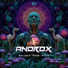 Androx - Enjoy The Trip