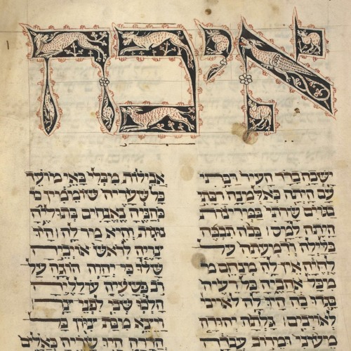 Yashva Vadad // Oh Weary One (a mourning lullabye for the weary)