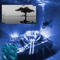 night raid x woosh - what i saw on my way down prod.raid