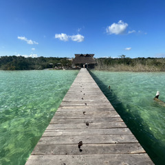 Walk With Me… 🎋