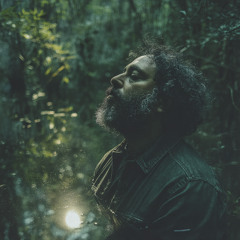 Swamp Light Moonbeams