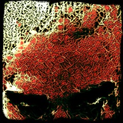 Nocihtosirhc
