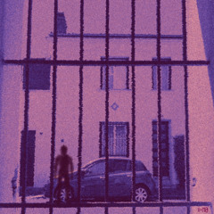 Night Visions