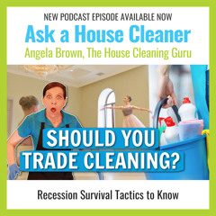 Should You Trade or Barter Cleaning? Recession Survival Tactics !!!