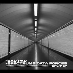 TL PREMIERE : Bad Pad - New Path [Útil Records]