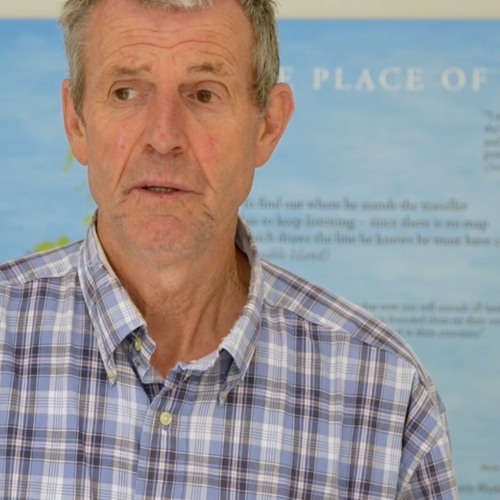 Bogland: Michael Long - Cabragh Wetlands  on  'Earth Literacy'