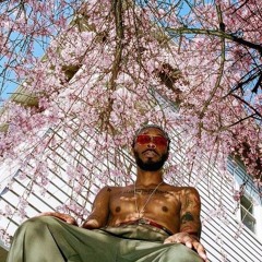 [FREE] JPEGMAFIA Type Beat "Garden Flow"