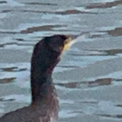 14 days (prod. tiresss)