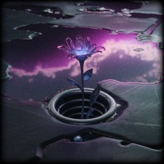 DRAIN
